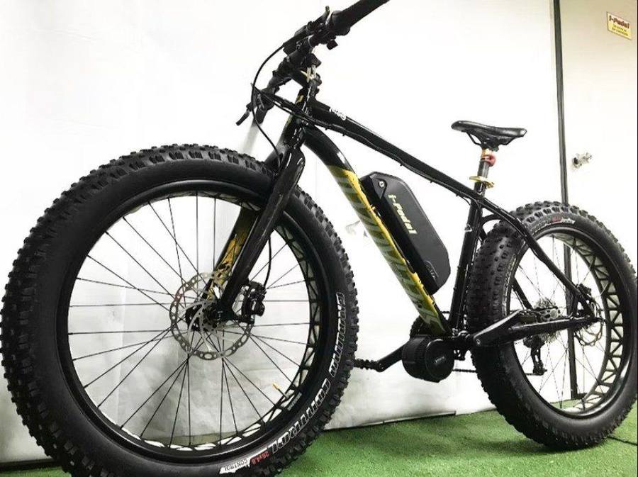 Fat Tire E-Bike